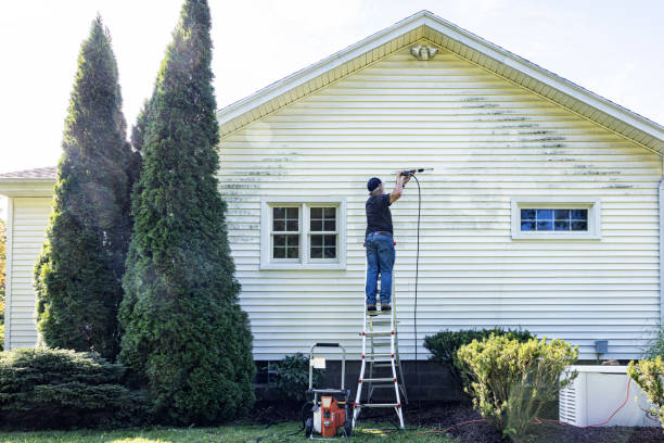 Deck Cleaning Services in Cambria, CA